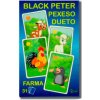 Černý Petr, Dueto, pexeso 3v1 - Farma 7x10,5cm