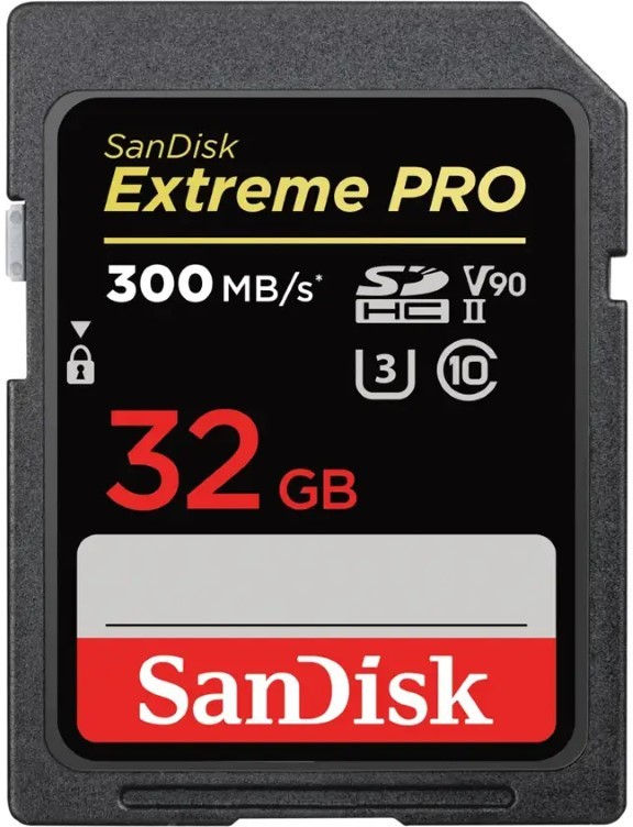 SanDisk SD 32 GB SDXDK-032G-GN4IN