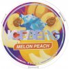 Iceberg melon peach extreme 33 mg/g 20 vrecúšok