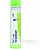 Ferrum Metallicum gra.1 x 4 g 5CH