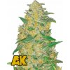 Fast Buds Cannabis Seeds AK Auto 3 pcs