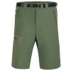 Direct Alpine Vulcan Short khaki