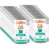 Calibra Dog Life Sensitive Salmon with rice 24 x 400 g