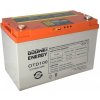 Goowei Energy 12V 100Ah OTD100