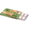 Artic Žuvačky Premium Spearmint 10 ks bez aspartamu