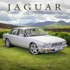 Jaguar 305 x 305 305 x 61 cm 2026