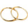 iZlato Forever Náušnice kruhy iZlato 2 cm IZ19699