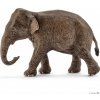 Schleich 14753 divoké zvieratko Slon ázijský samica