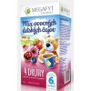Ihneď k odberu - Megyfyt mix ovocný ch 4 druhy 20 x 2 g