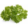 Click and Grow náplň pre smart kvetináče a farmy - Petržlen 3ks v balení