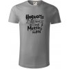Harry - Hogwarts wasn’t hiring, so I teach Muggles instead - Tričko z organickej bavlny - 3XL ( Starostrieborná )