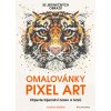 Omalovánky Pixel Art (Joanna Webster)