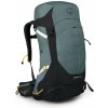 Osprey SIRRUS 36l succulent green