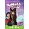 E-kniha Kamarádky ze stájí – Velké tajemství - Chantal Schreiberová