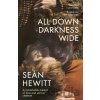 All Down Darkness Wide - Seán Hewitt