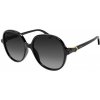 Cartier CT0350S 001