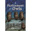 A Parliament of Owls - Chloe Rhodes