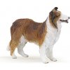 Papo Kolie Lassie