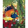 zuty Zuty - Maľovanie Podľa Čísel - Papagáj Hlavou Dole, 40X50 Cm, Plátno+Rám (8596530095859)