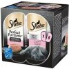 Sheba Perfect Portions s lososom 3 x 75 g