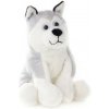 Plyšové Lampy Husky Pes