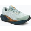 Asics Novablast 5 TR M 1011C138300 nature bathing lichen rock
