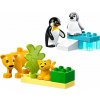 LEGO® DUPLO® 10442 Rodinky divokých zvierat: Tučniaky a levy