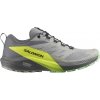 Pánske Bežecké topánky na krosový beh SALOMON SENSE RIDE 5 L47144200 – Sivá
