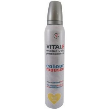 Vitale Exclusively farbiace penové tužidlo Blonde - Blond 200 ml