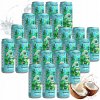 24 X NÁPOJ V PLECHOVKE COCONAUT V PLECHOVKE SÝTENÝ Z MLADÉHO KOKOSU 320 ML