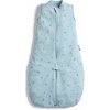 ERGOPOUCH Vak a overal na spanie 2v1 organická bavlna Suit Dragonflies 3-12 m, 6-10 kg, 0,2 tog