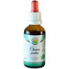 Salvia Paradise Chanca piedra AF tinktúra 50 ml