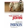 Commentary on the Gospel of John (David Pawson)(Brožovaná)