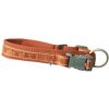 Obojek Hurtta Casual ECO skořicový 40-50cm