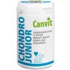 CANVIT Chondro Junior pre psov na pohybový aparát 230 g