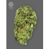The Bulldog Seeds TB Sour Diesel Regular, 3 a 5 ks 5 ks