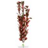 JK ANIMALS Red Ludwigia 25-28 cm