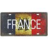 Retro tabuľa ŠPZ France 30x15cm (Retro dekorácia do izby)