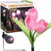 ZÁHRADNÁ SOLÁRNA LED LAMPA ZAPICHOVACIA KVET TULIPÁN