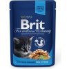 Brit Premium Cat kapsa Chicken Chunks for Kitten 100 g - 1Ks