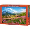Puzzle 1000 d. - Dolina Gąsienicowa, Tatry, Poľsko