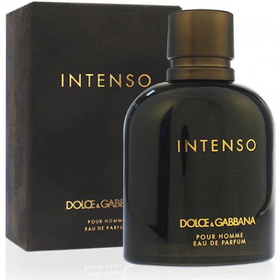 Dolce & Gabbana Pour Homme Intenso parfumovaná voda pre mužov 75 ml