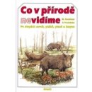 Kniha Co v přírodě nevidíme - Miroslav Bouchner, Pavel Procházka