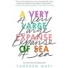 A Very large Expanse of Sea - Mafi Tahereh