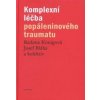 Komplexní léčba popáleninového traumatu - Radana Königová