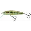 Salmo Minnow M7F Minnow 7 cm 6 g Salmo