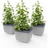Gusta Garden GG-120F11