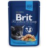 BRIT Premium cat Kapsička Kitten Chicken Chunks 100 g