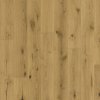 Parador Basic 11-5 Dub Chianti prírodný 1748897, Drevená podlaha 1-lamela M4V lak (4.07 m2) / 284.86 EUR