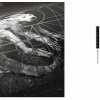 PIXIES: DOOLITTLE 25 LP